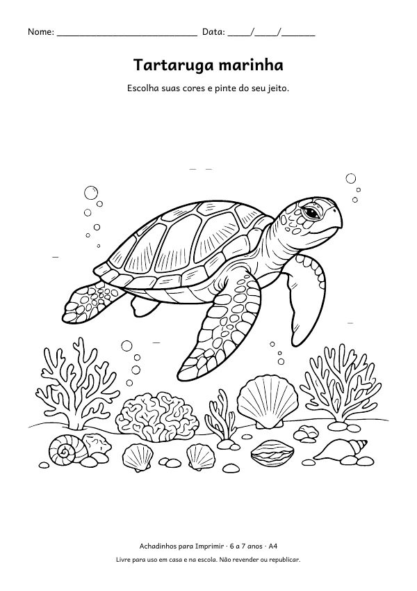 Desenho para colorir: Tartaruga marinha, traço fino