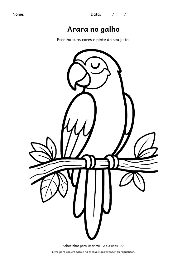 Desenho para colorir: Arara no galho, traço grosso