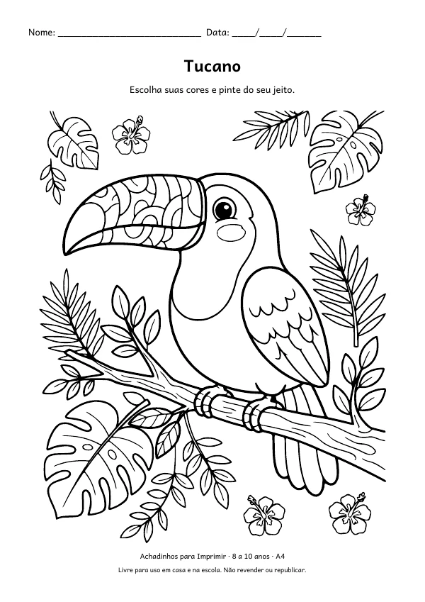 Desenho para colorir: Tucano, traço fino