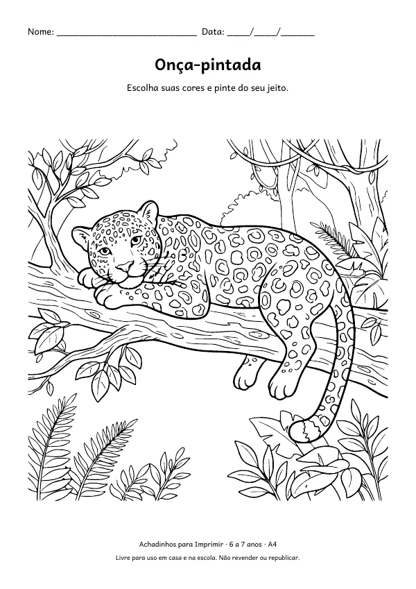 Desenho para colorir: Onça-pintada, traço fino