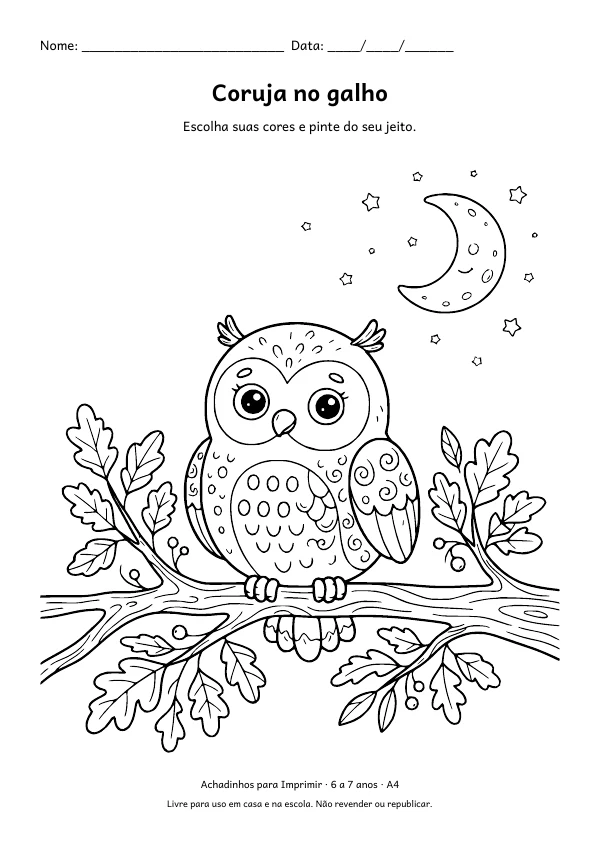 Desenho para colorir: Coruja no galho, traço fino